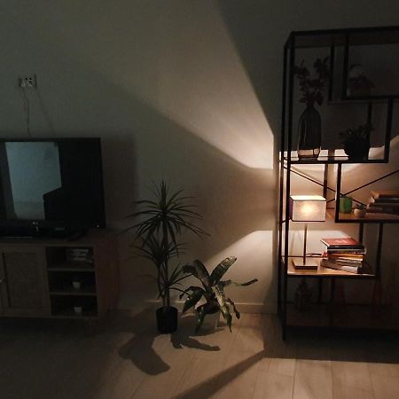 Mimo Da Se Apartman Bragança Kültér fotó